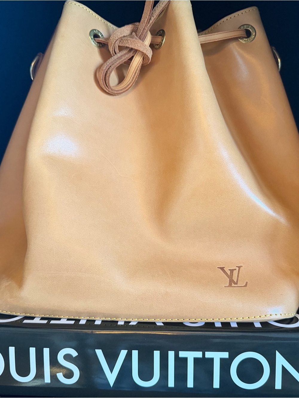 Louis Vuitton Beige Vachetta Noe Bucket Shoulder Bag